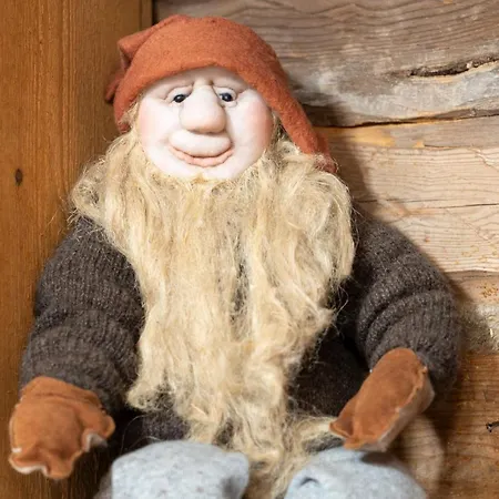 Toermaelaen Tila Siikajoki